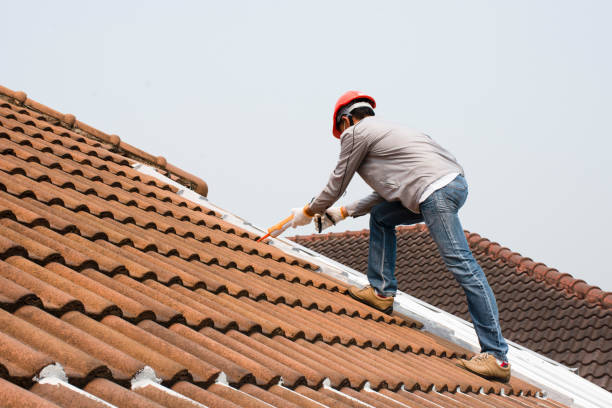 Best Hot Roofs  in Mccom, MS